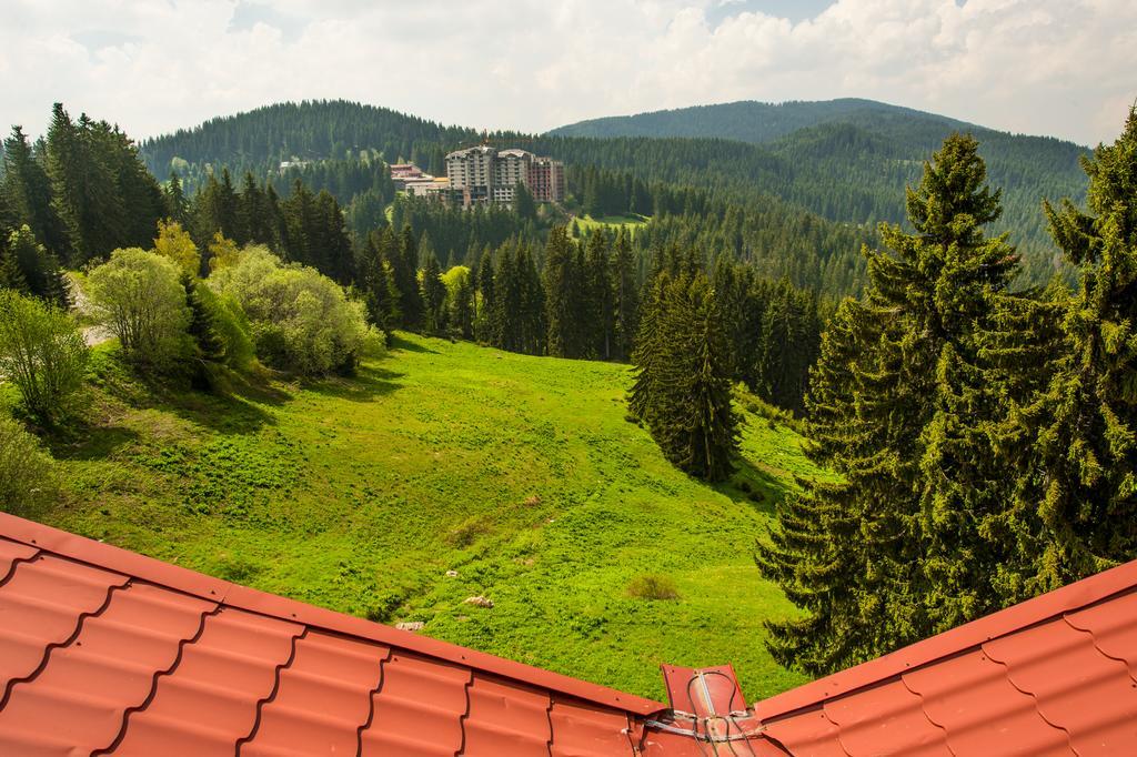 Snezhanka Hotel Pamporovo Eksteriør billede